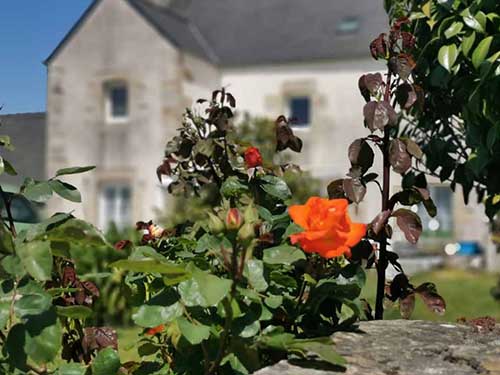 Image 11 de la galerie - Gîtes L'Hermine